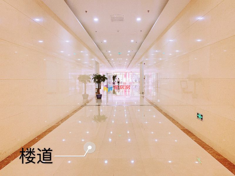 国粹苑 