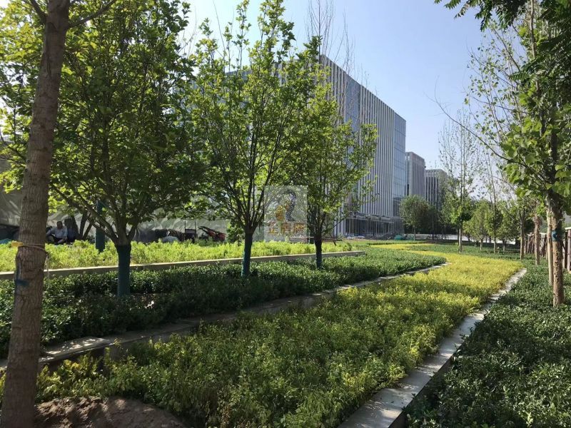 江河中心