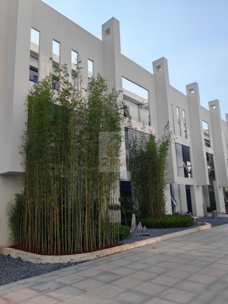 爱工场珺塘科创园区
