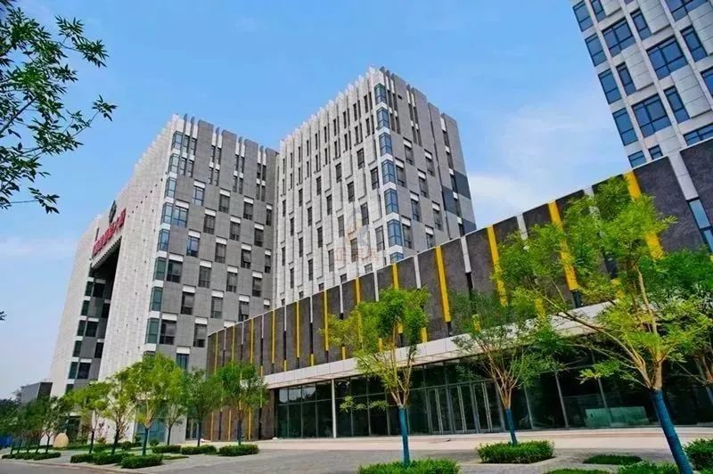 城建道桥大厦